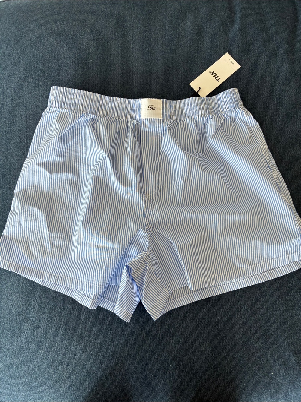 NWT Aritzia TNA XS blue & white striped boxer shorts